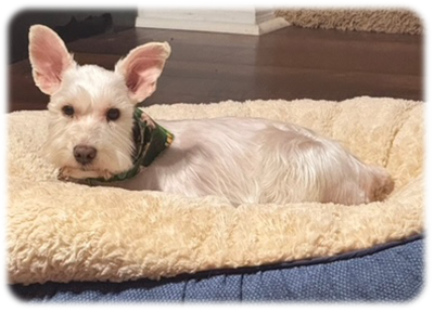 Benny