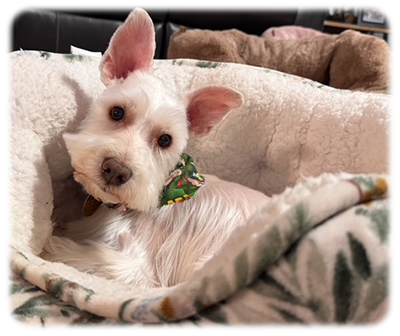 Benny