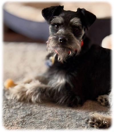 Toby
